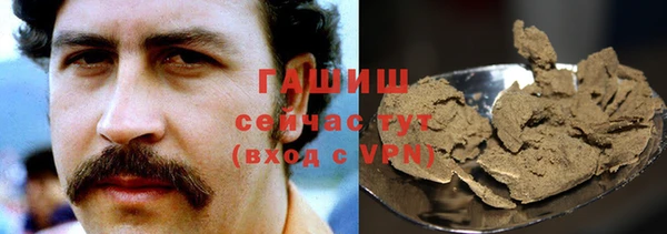 хмурый Бородино