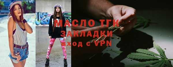 хмурый Бородино