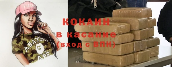 хмурый Бородино