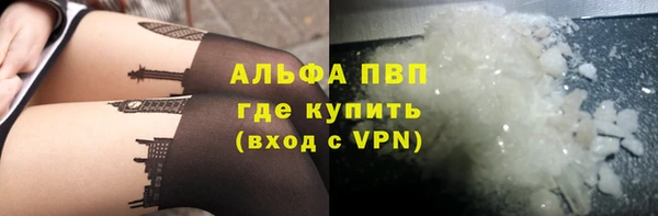 хмурый Бородино