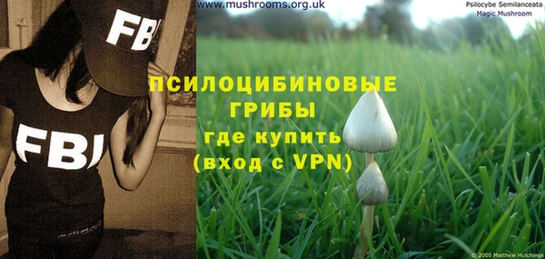 хмурый Бородино