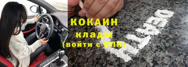 хмурый Бородино
