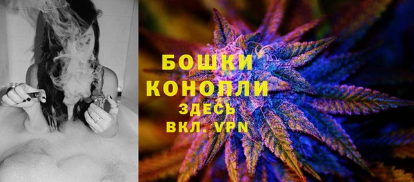 хмурый Бородино