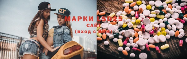крисы Богородск
