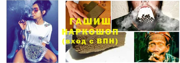 хмурый Бородино
