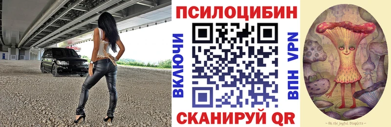 Псилоцибиновые грибы Psilocybe Купить Вичуга